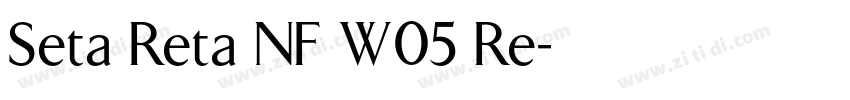 Seta Reta NF W05 Re字体转换
